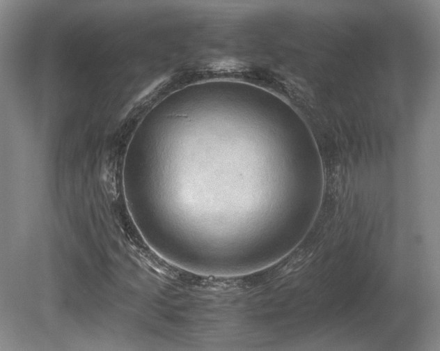 X0000080681205200612151214