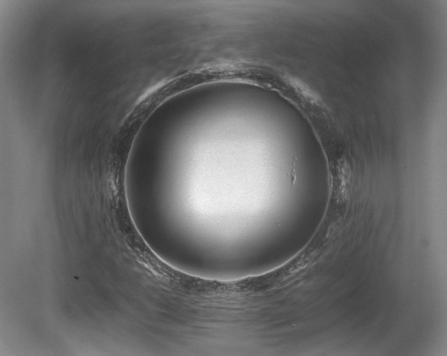 X0000080681206200612151214
