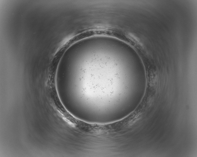 X0000080681208200612151214