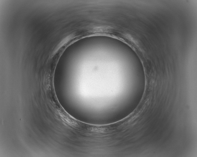 X0000080681211200612151214