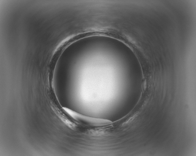 X0000080681214200612151214