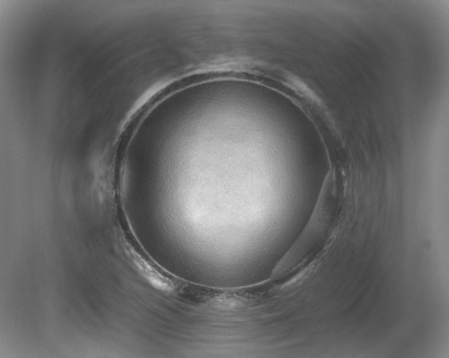 X0000080681216200612151214