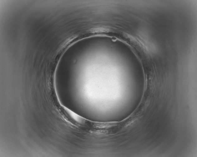 X0000080681217200612151214