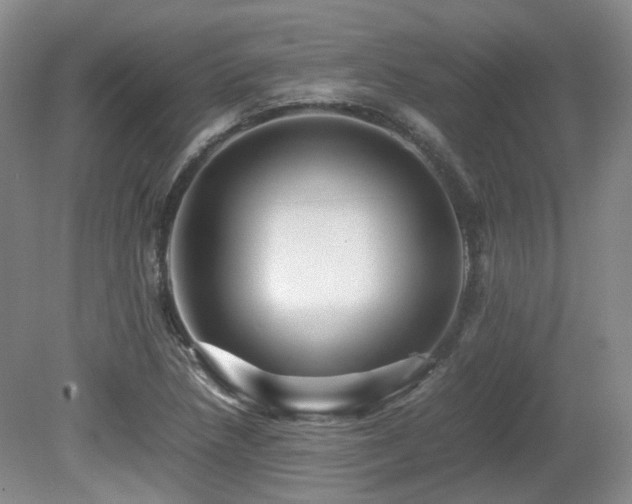 X0000080681218200612151214