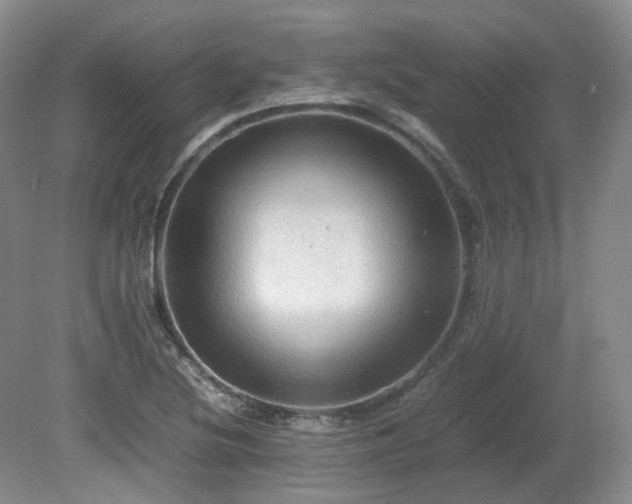 X0000080681220200612151214