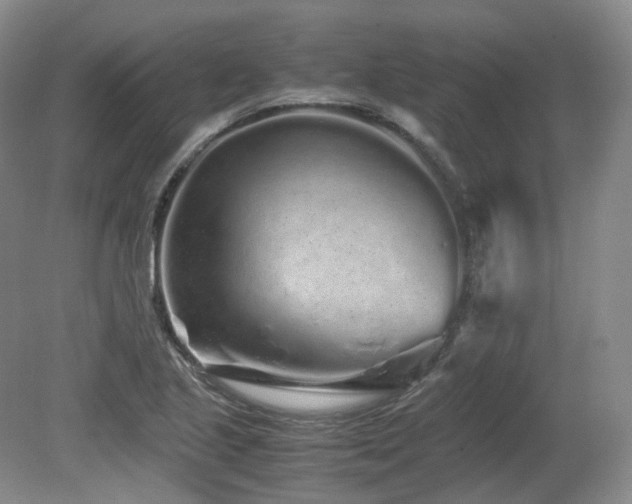 X0000080681221200612151214