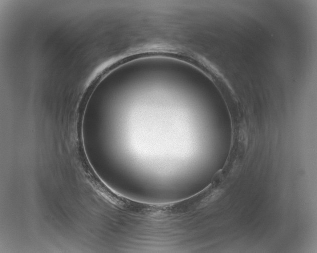 X0000080681222200612151214