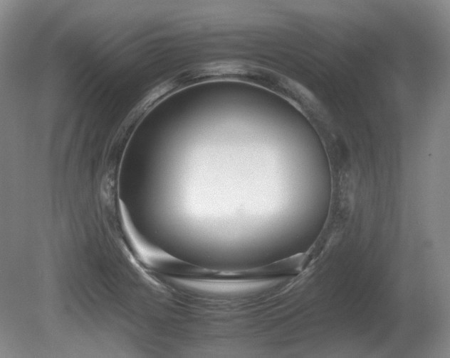 X0000080681225200612151214