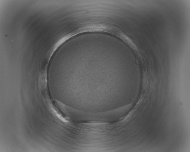 X0000080681226200612151214