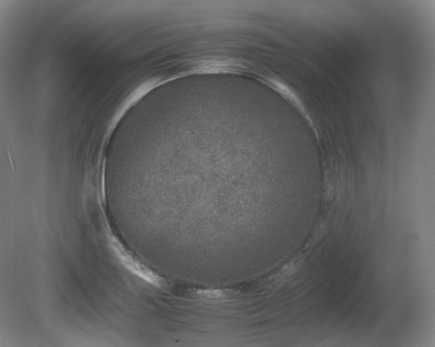 X0000080681227200612151214