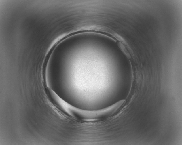 X0000080681230200612151214