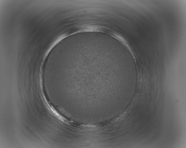X0000080681235200612151214