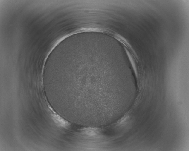 X0000080681236200612151214