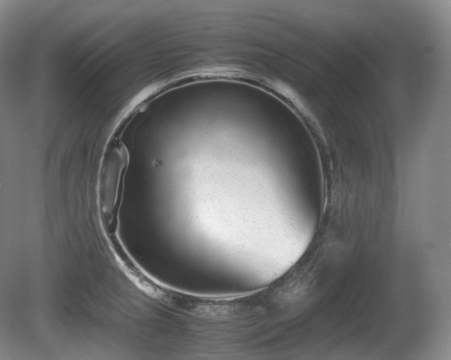 X0000080681237200612151214