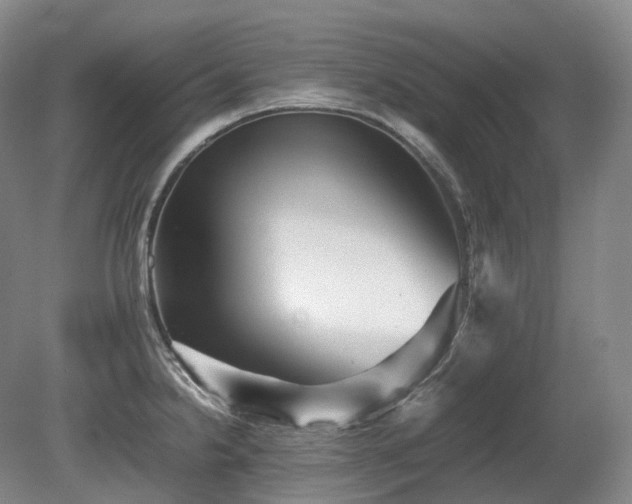 X0000080681238200612151214