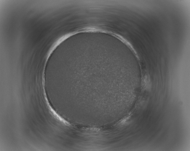 X0000080681239200612151214