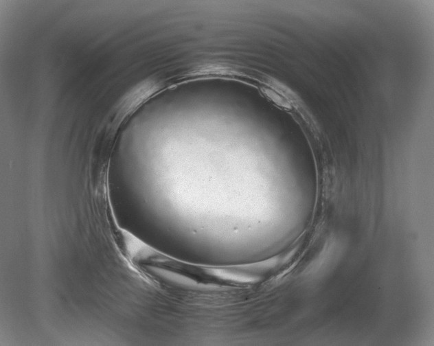 X0000080681241200612151214