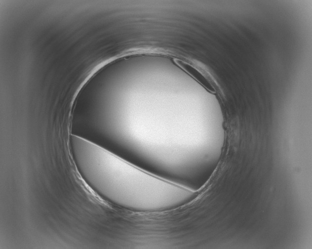 X0000080681244200612151214