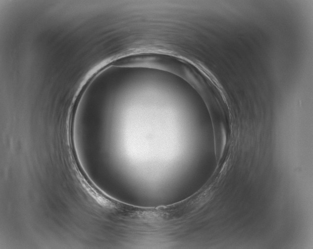 X0000080681246200612151214
