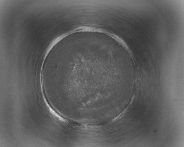 X0000080681247200612151214