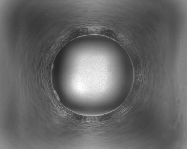 X0000080681249200612151214