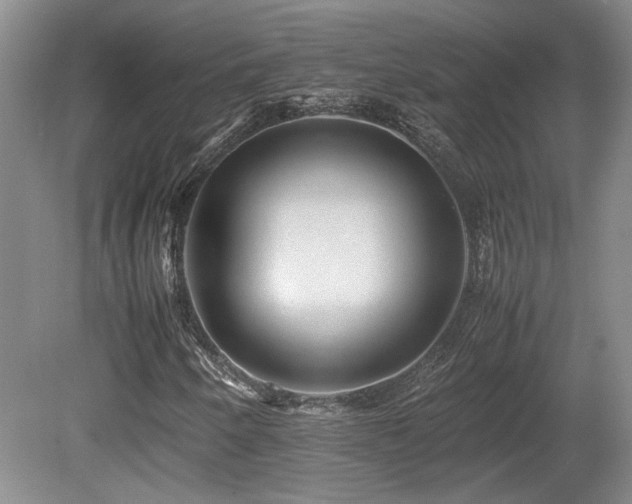 X0000080681250200612151214