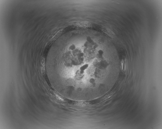 X0000080681251200612151214