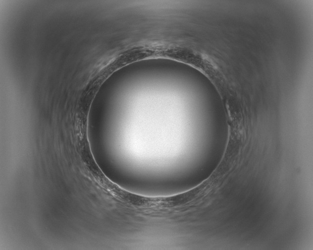 X0000080681253200612151214