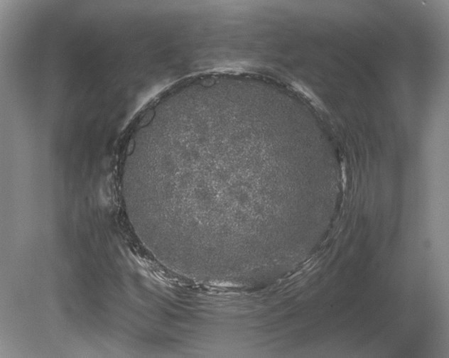 X0000080681256200612151214