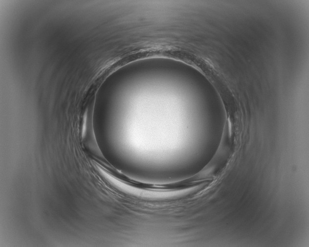 X0000080681257200612151214