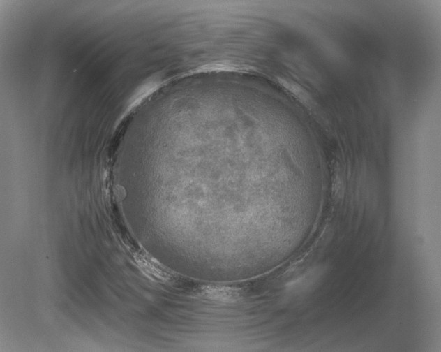 X0000080681258200612151214