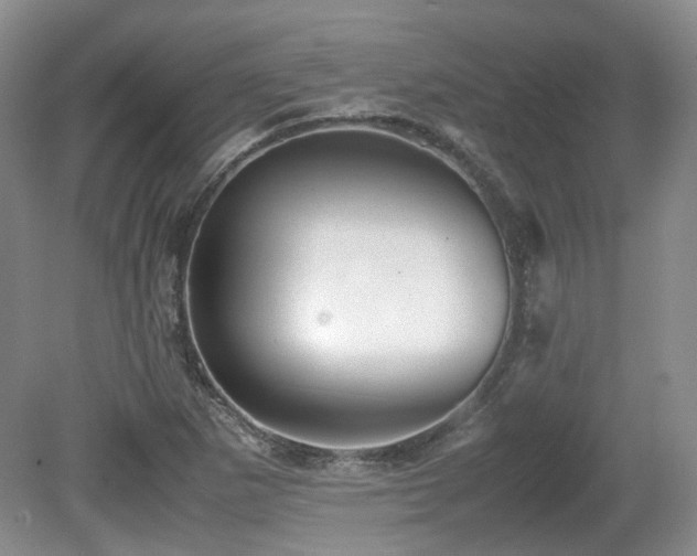 X0000080681265200612151213