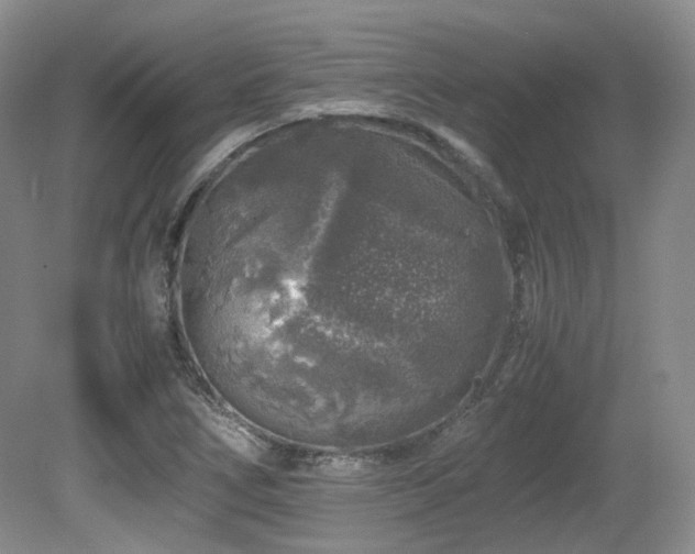 X0000080681266200612151213