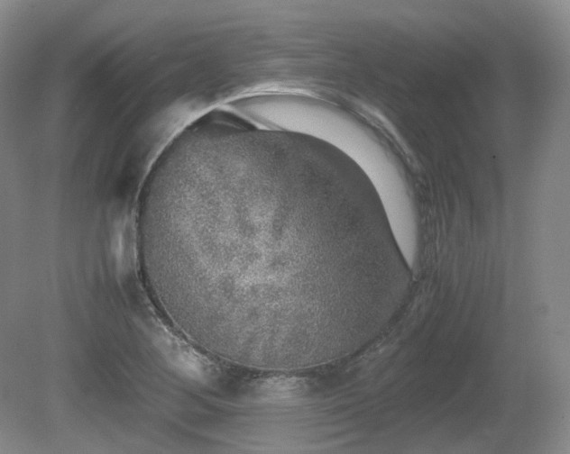 X0000080681268200612151213