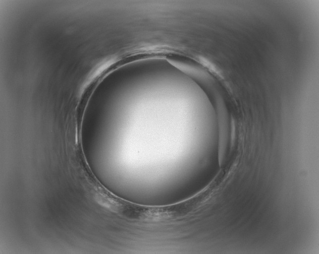 X0000080681269200612151213