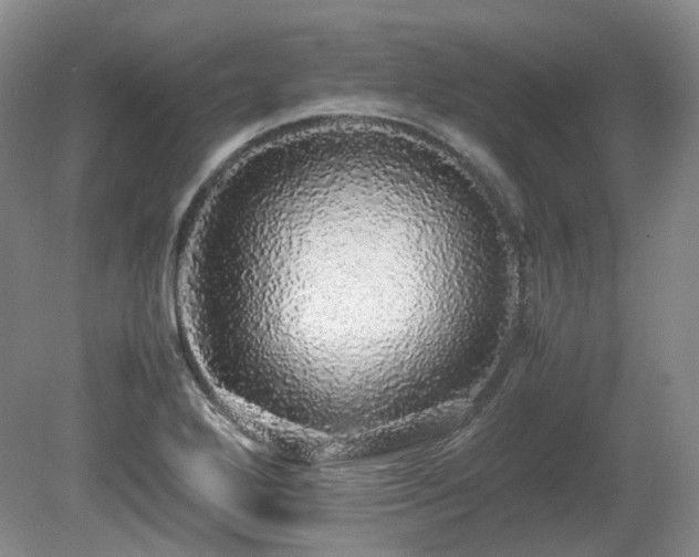 X0000080681272200612151213