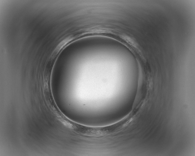 X0000080681273200612151213