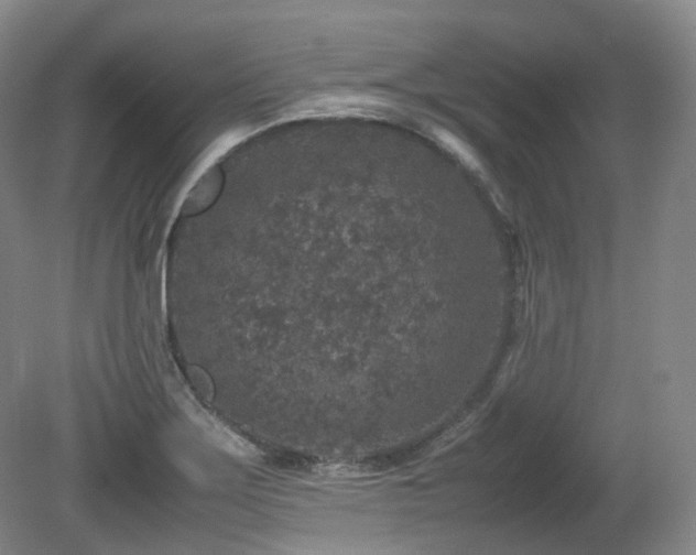 X0000080681275200612151213