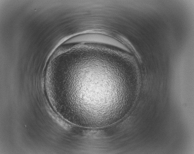 X0000080681284200612151213