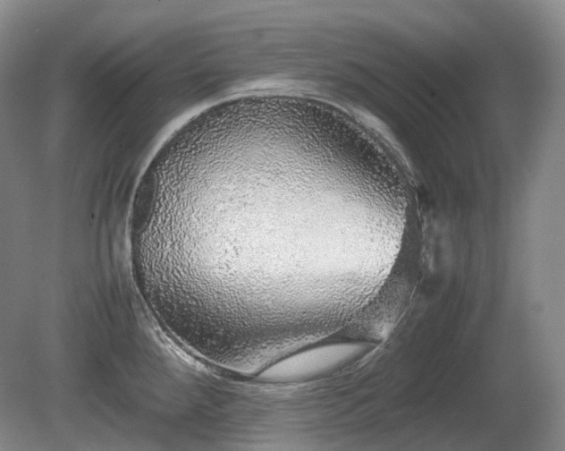 X0000080681288200612151213