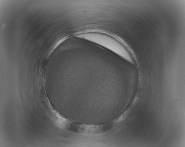 X0000080681289200612151213