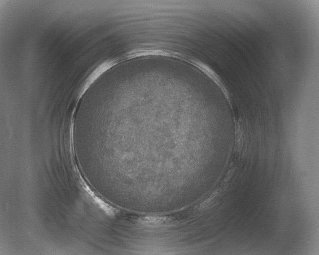 X0000080681290200612151213