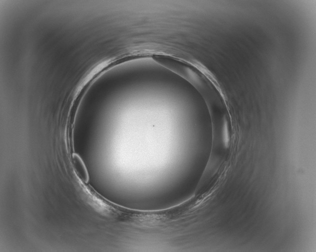 X0000080681293200612151213