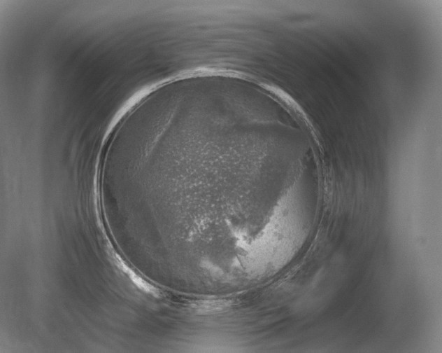 X0000080681294200612151213