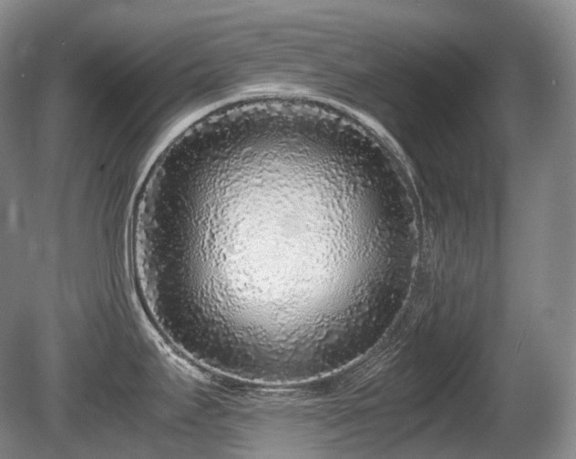 X0000080681295200612151213