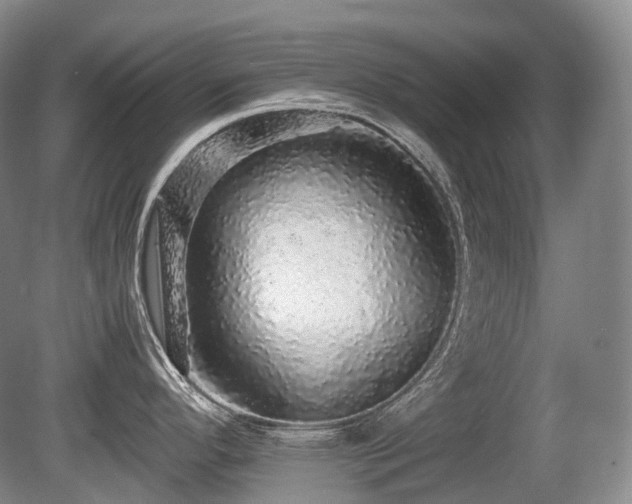 X0000080681296200612151213