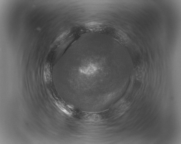 X0000080681298200612151212