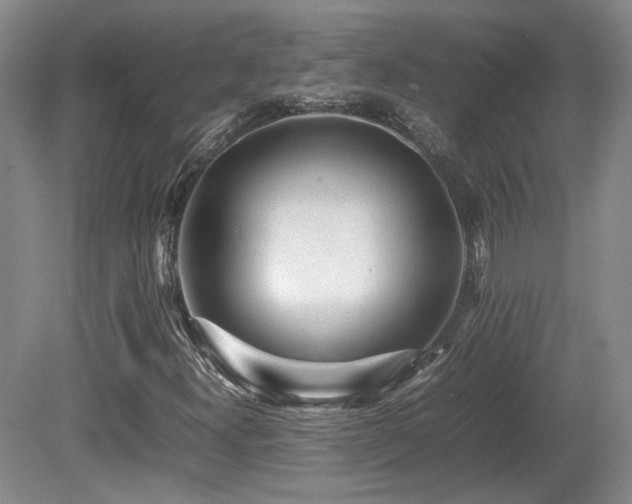 X0000080681300200612151212
