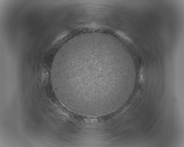 X0000080681302200612151212