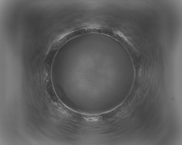X0000080681303200612151212